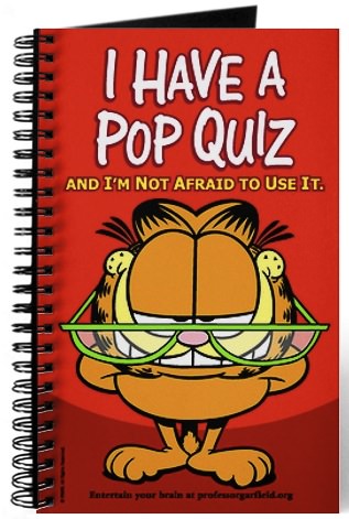 Garfield Pop Quiz Journal