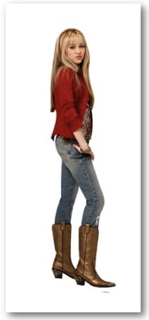 Hannah Montana Boots poster