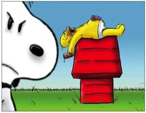 Snoopy Meets Homer Simpson Magnet