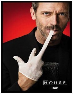 House Giving The Finger Magnet