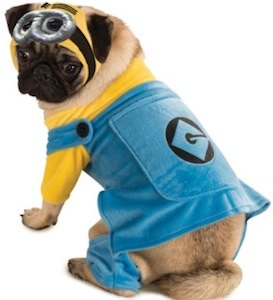 Despicable Me 2 Minion Dog Costume